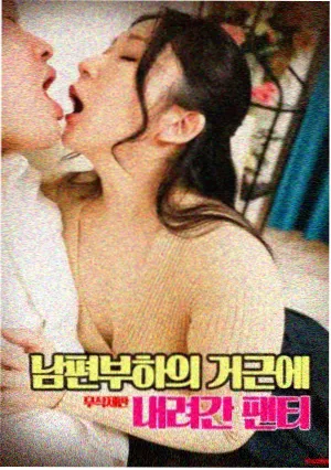 零度战姬动漫剧场版温标修正配图